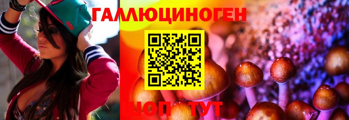 Галлюциногенные грибы Cubensis Хабаровск
