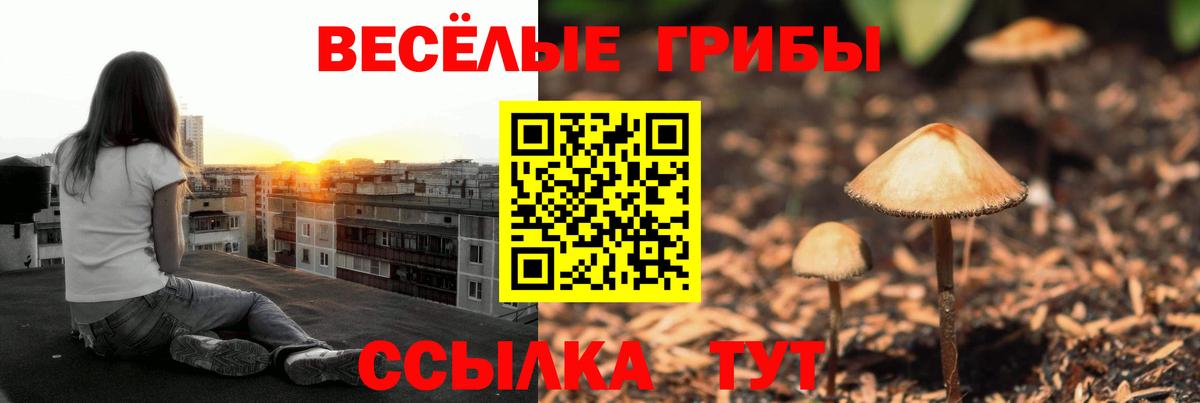 Галлюциногенные грибы мухоморы  Вход с VPN  Хабаровск  Галлюциногенные грибы Psilocybine cubensis 